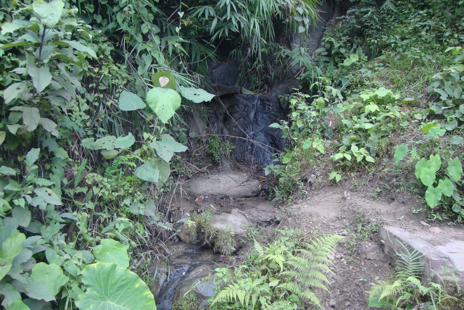 SPRING AT ATHARA MURA HILL