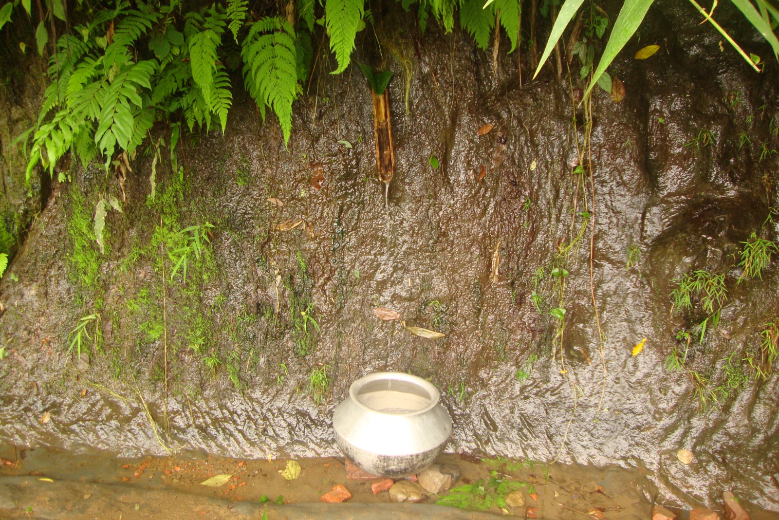 SPRING AT SAIKABARI NORTH LONGTARAI HILL