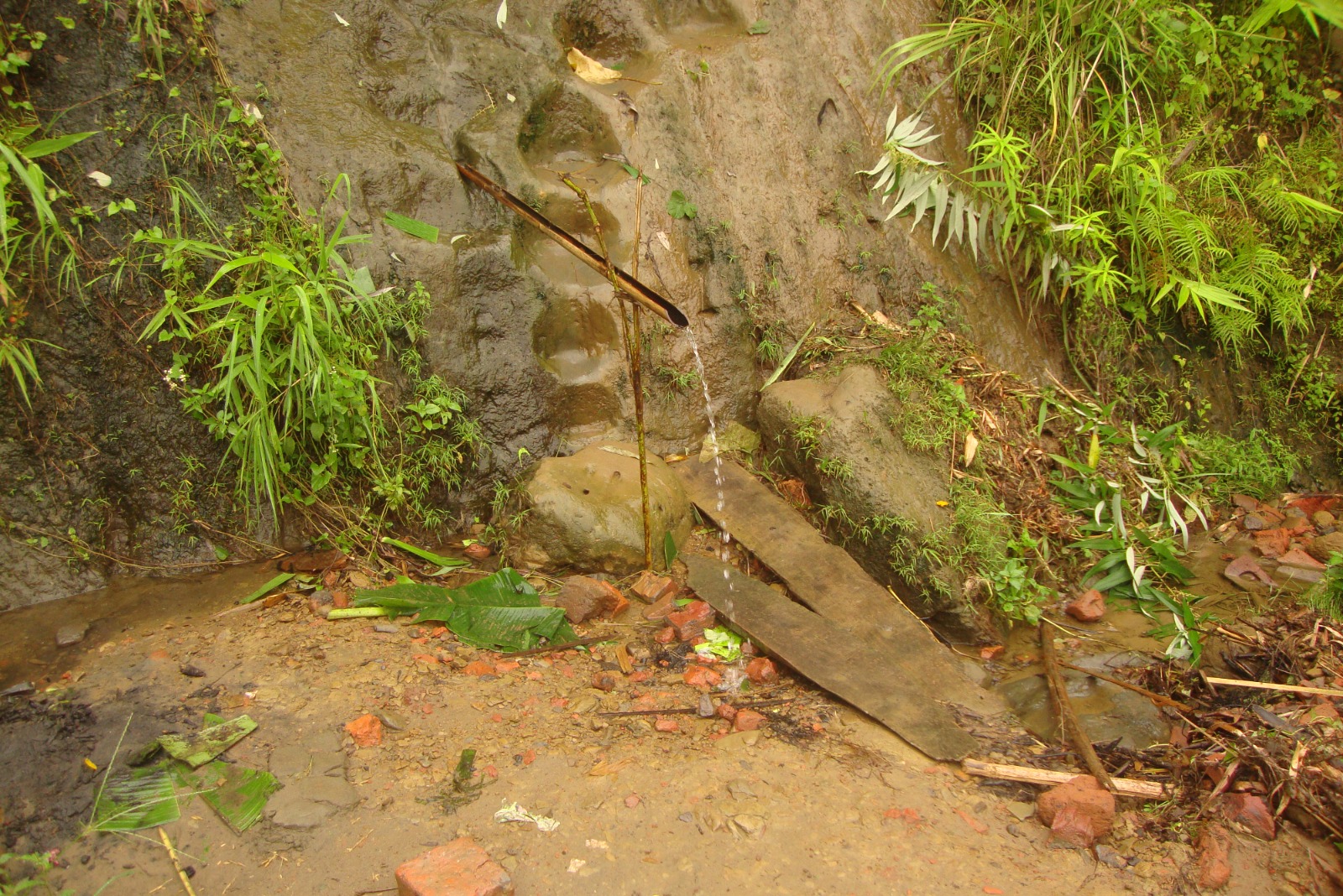 SPRING AT SAIKABARI NORTH LONGTARAI HILL